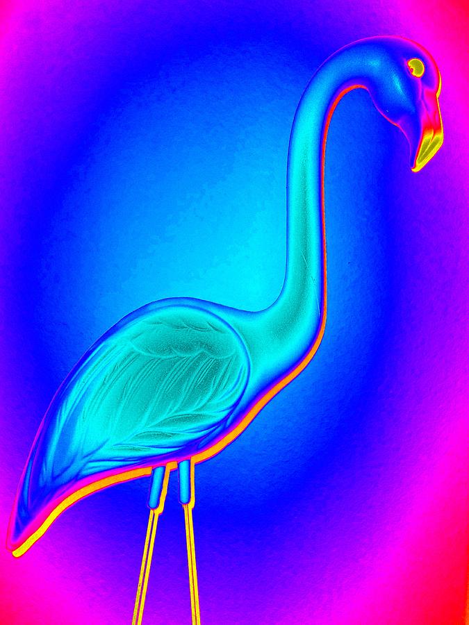 Flamingo Fling Digital Art by Randall Weidner
