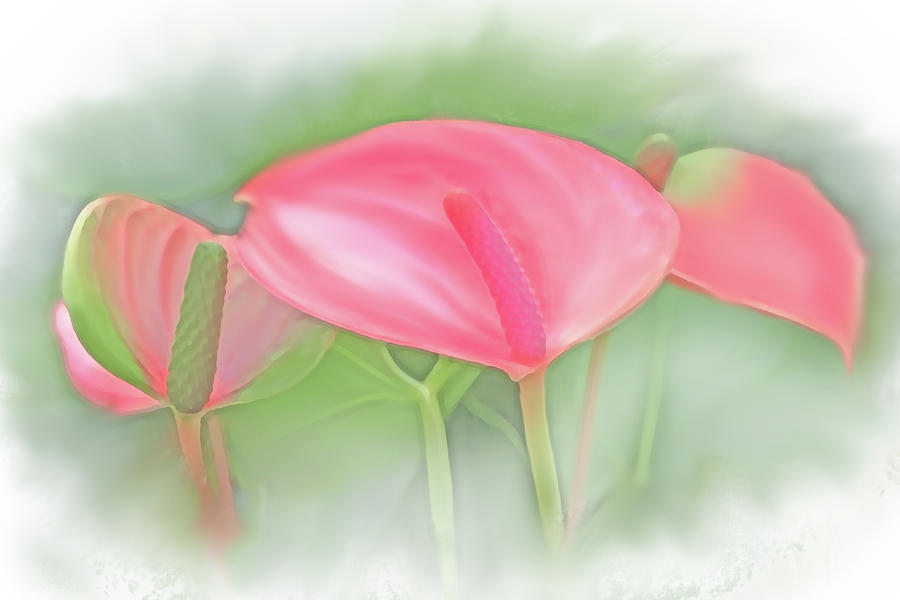 Flamingo Flowers Digital Art