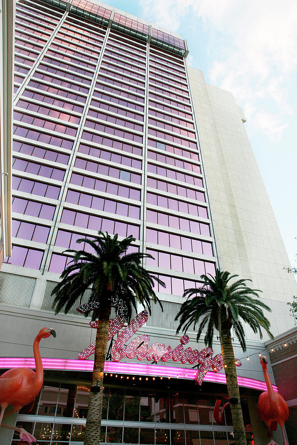 Flamingo Hotel neon Sign Las Vegas Photograph by Marilyn Hunt