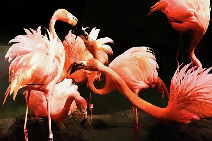 Flamingo Kisses Photograph by Alice Gipson