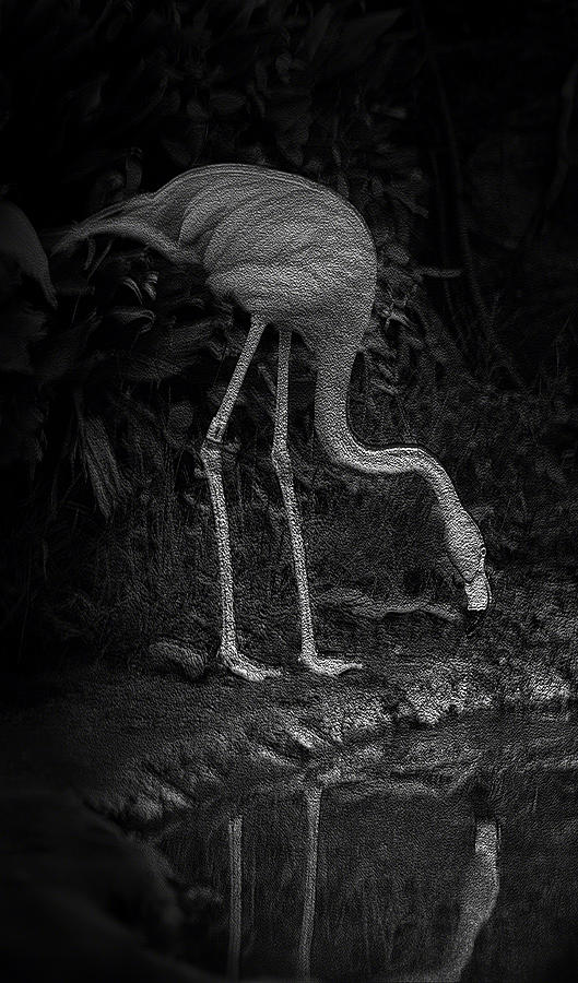 Flamingo Lake by Maria Reverberi Flamingo Lake by Maria Reverberi