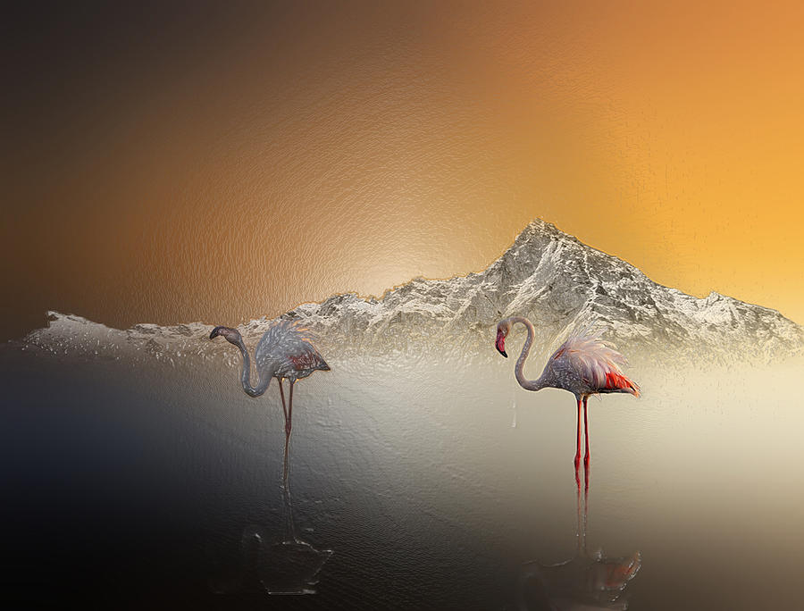 Flamingo Land Photograph by Scott Mendell