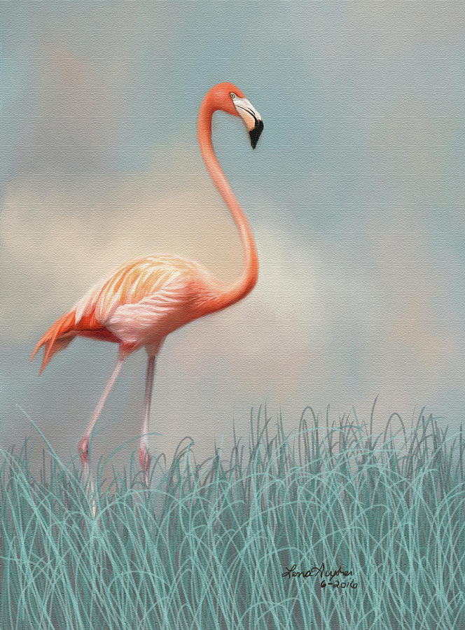 Flamingo Digital Art by Lena Auxier