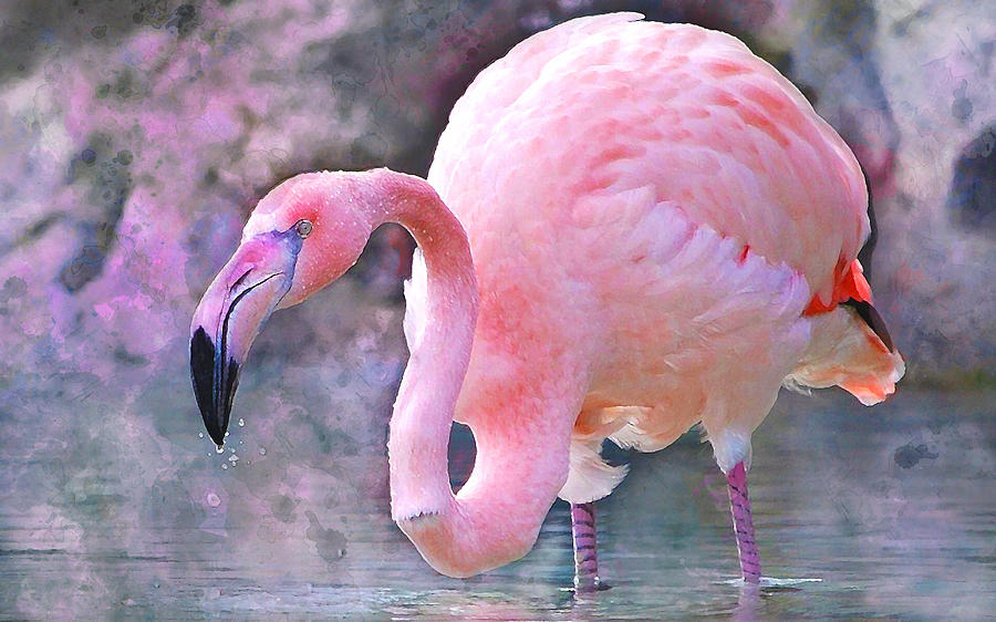 Flamingo Mixed Media by Marvin Blaine