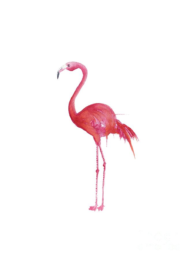 Flamingo  Painting by Melly Terpening