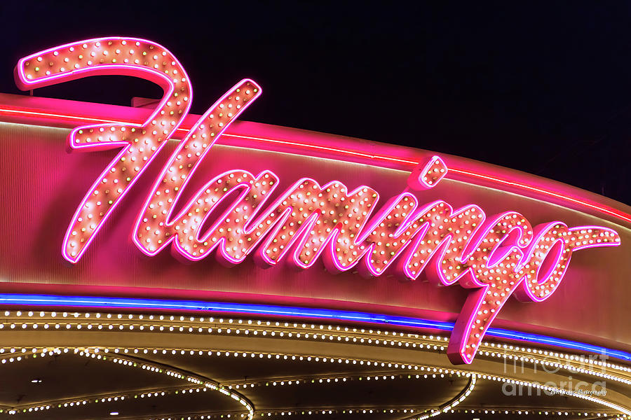 Las Vegas Photograph - Flamingo Neon Sign From the West by Aloha Art