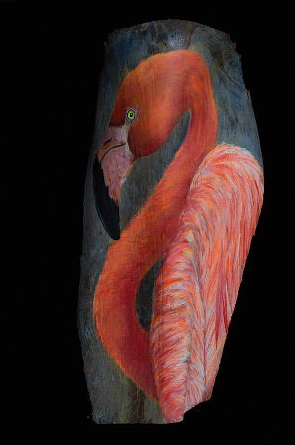 Owl Painting - Flamingo on Palm Frond by Nancy Lauby