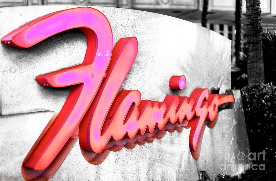 Flamingo Pink in Las Vegas Photograph by John Rizzuto