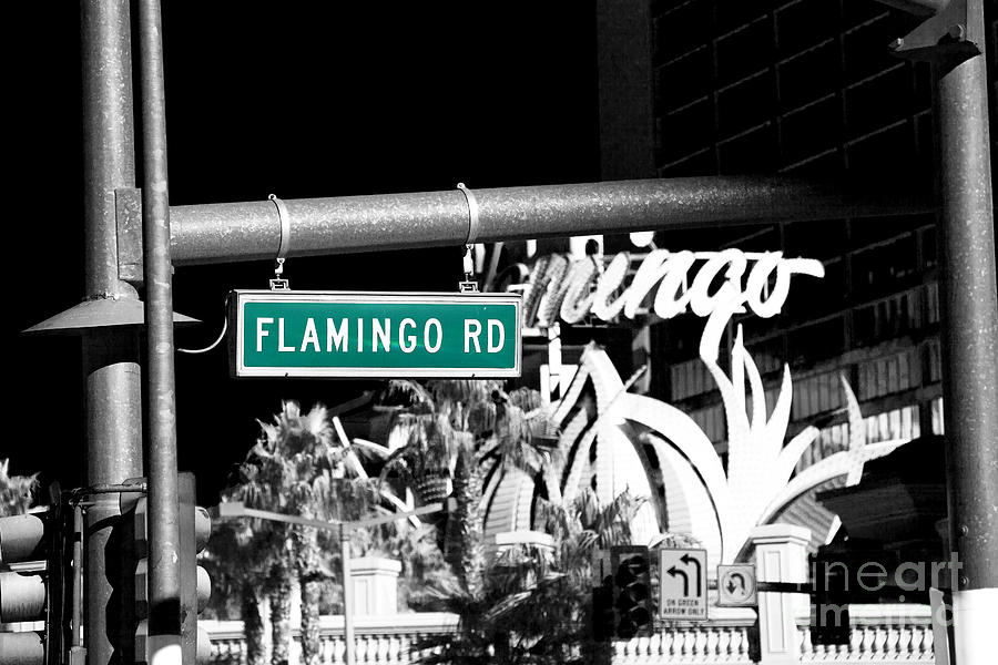 Flamingo Road Fusion Photograph by John Rizzuto