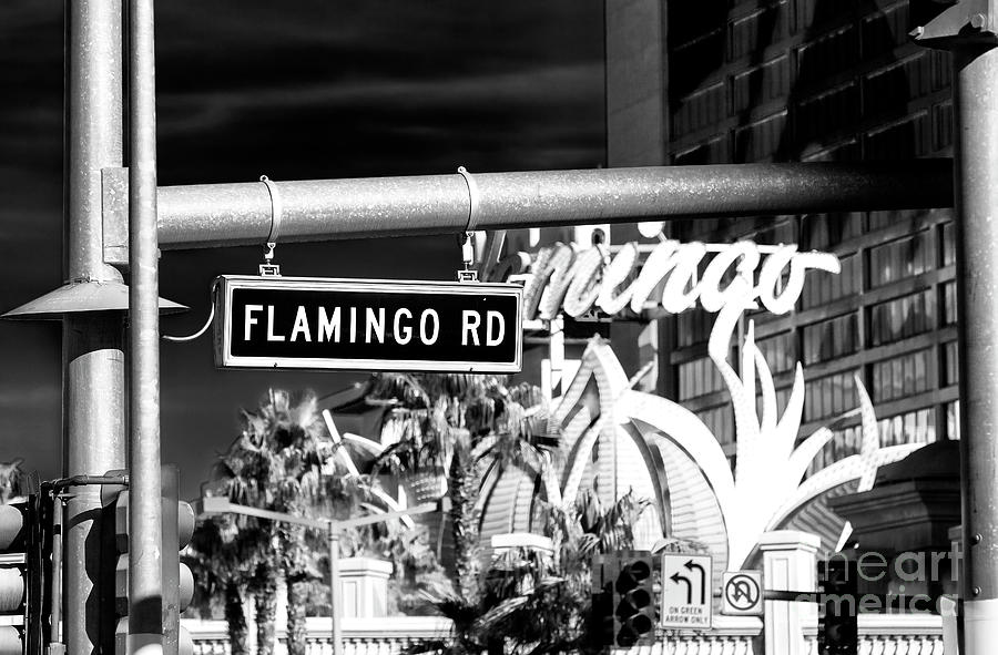 Flamingo Road Las Vegas Photograph by John Rizzuto