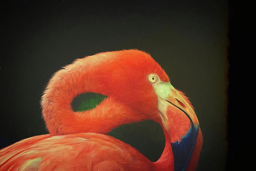 Flamingo Silk Photograph by Alice Gipson
