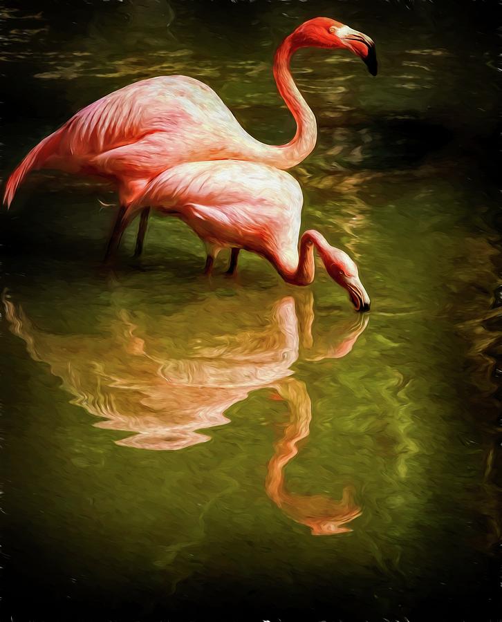 Flamingo Sipping Couple Photograph by Alice Gipson