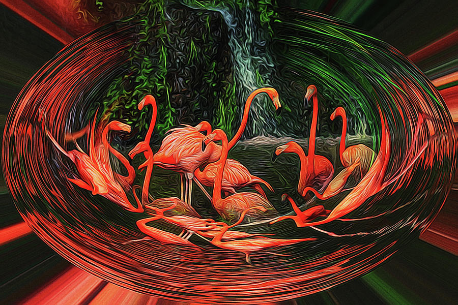 Flamingo swirl Digital Art by Sue Masterson