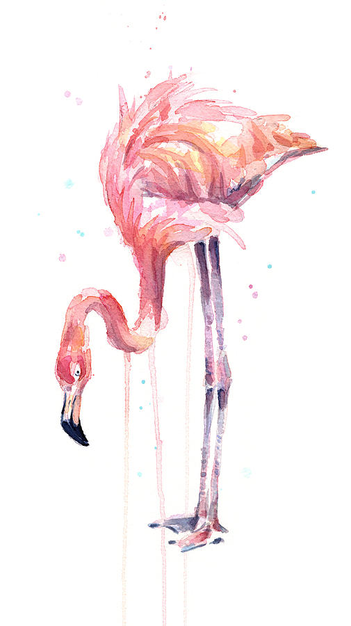 Flamingo Painting - Flamingo Watercolor - Facing Left by Olga Shvartsur