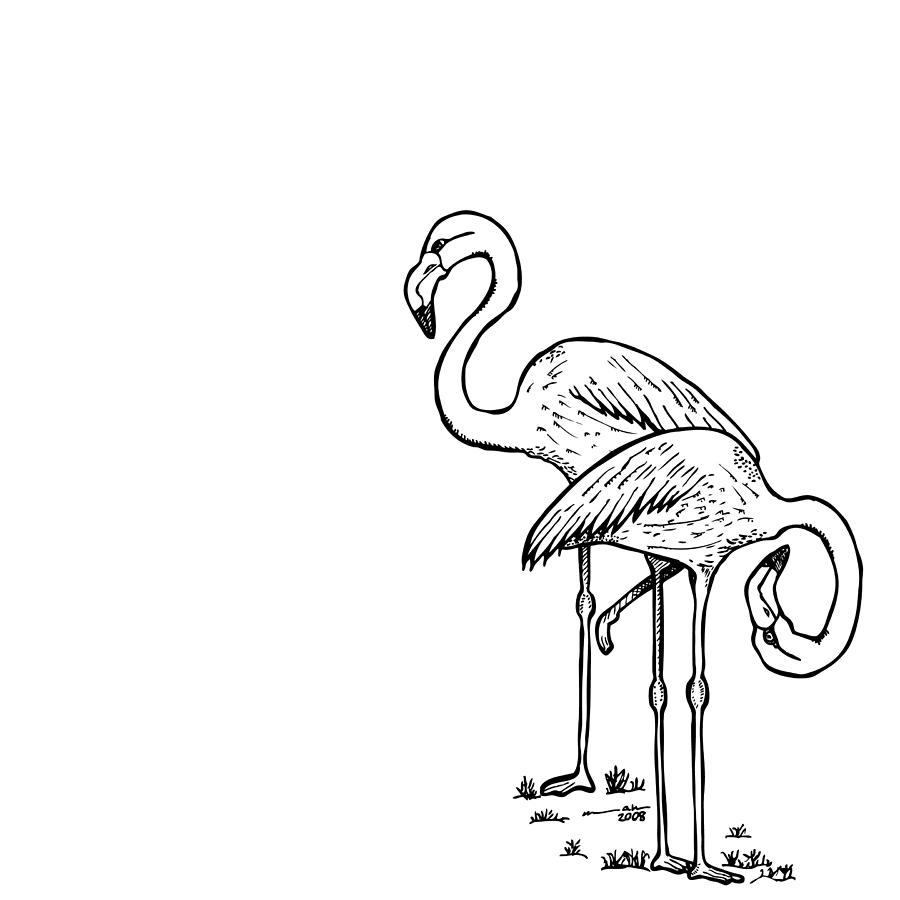Flamingo Drawing - Flamingoes - Black and White by Karl Addison