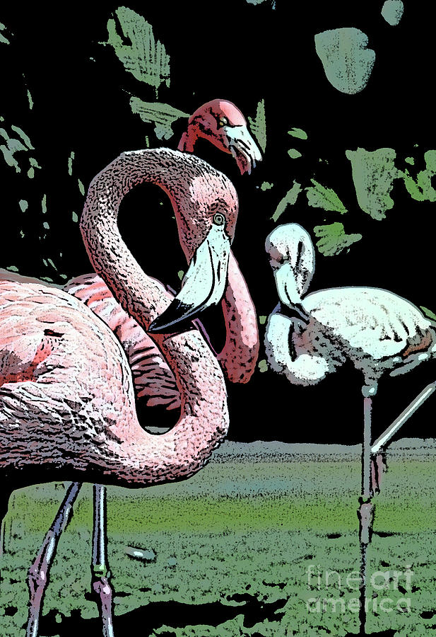 Flamingos II Photograph by Jim And Emily Bush