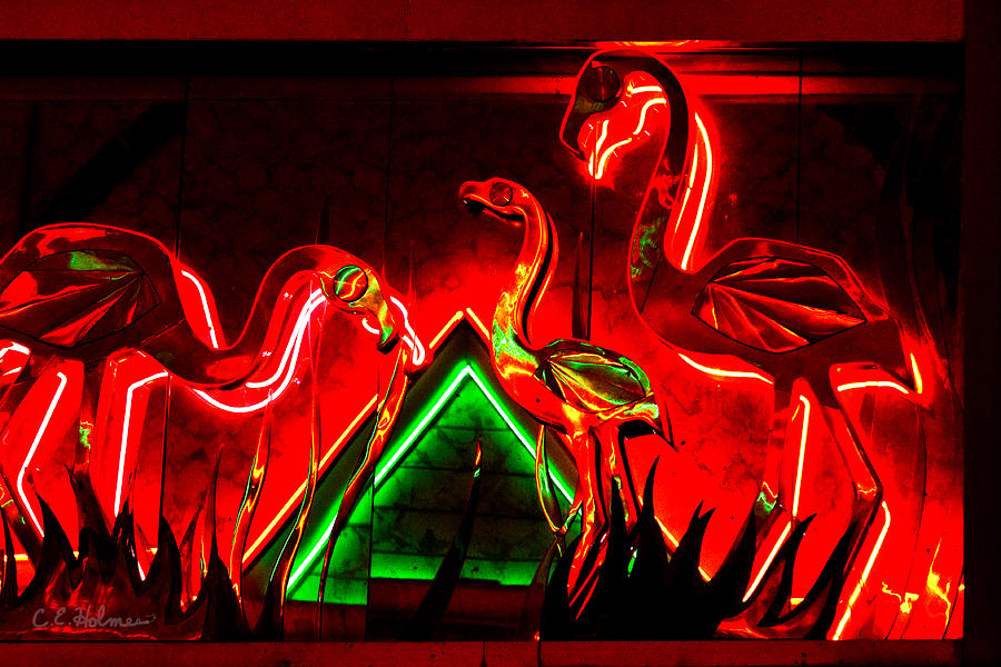 Flamingos In Lights Photograph by Christopher Holmes