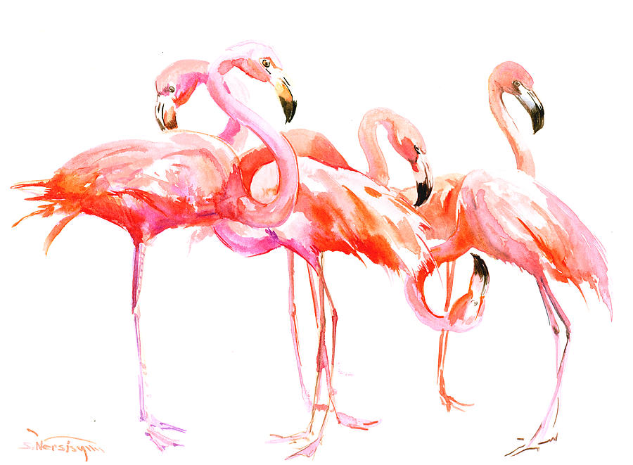 Flamingo Painting - Flamingos by Suren Nersisyan