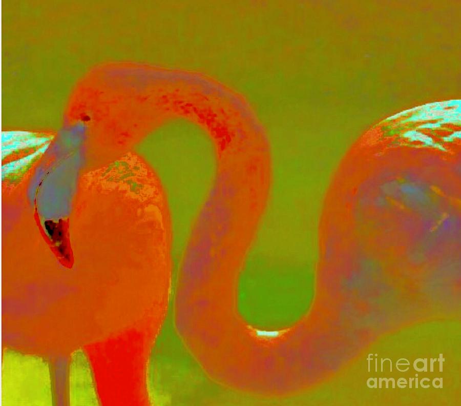 Flamingos  Photograph by Susan Garren