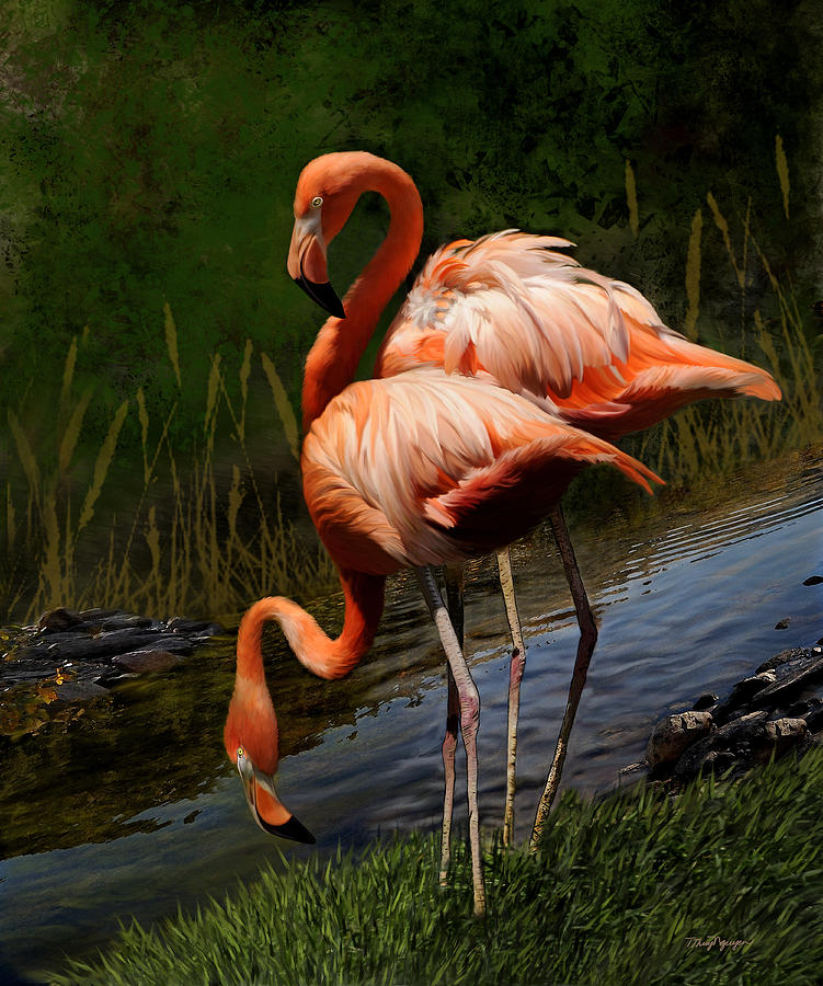 Flamingos Digital Art by Thanh Thuy Nguyen