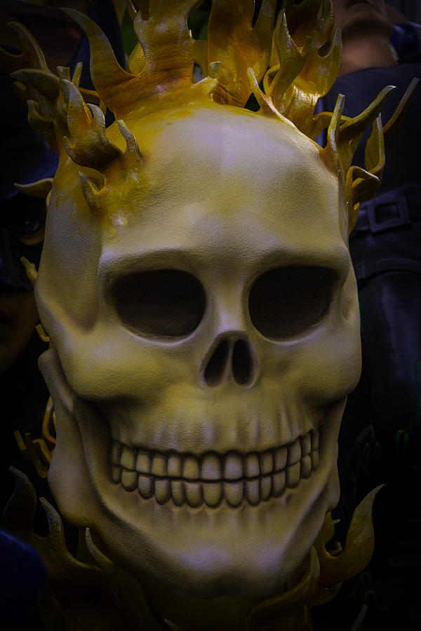 Flamming Skull Photograph by Garry Gay