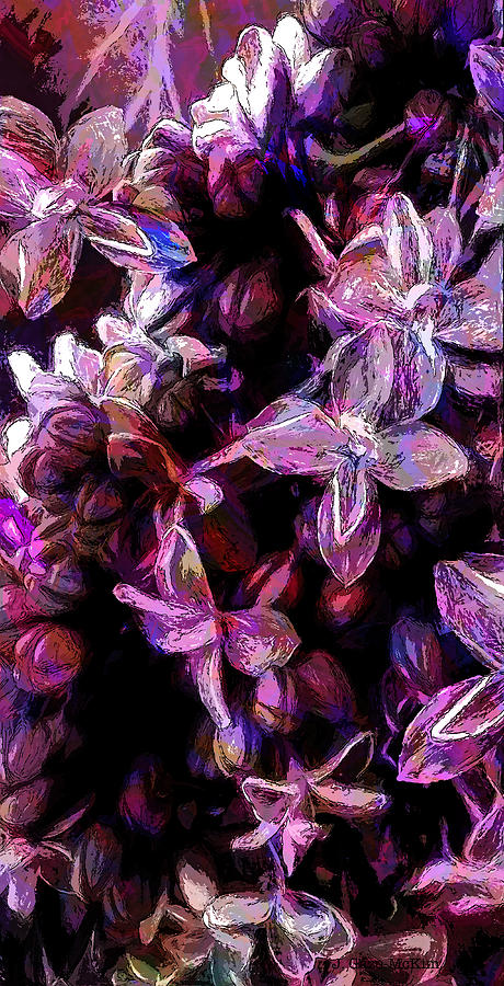 Flash of Floral Digital Art by Jo-Anne Gazo-McKim