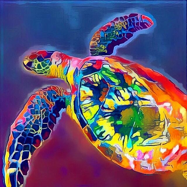 Turtle Digital Art - Flash the Turtle by Erika Swartzkopf