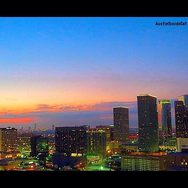Houston Photograph - #flashbackfriday - The #sunset Over by Austin Tuxedo Cat