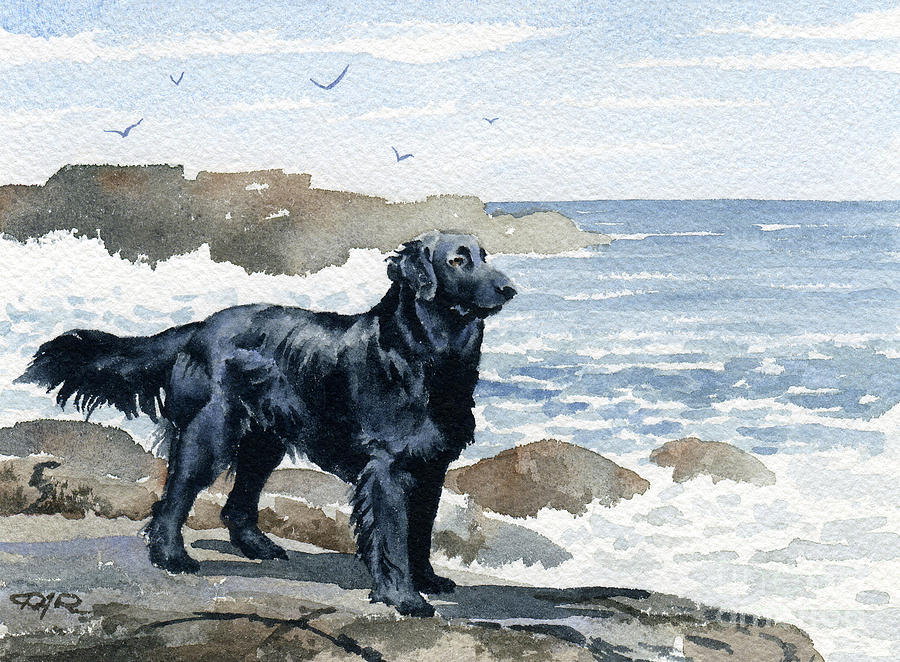 Flat Coated Retriever at the Beach Painting by David Rogers