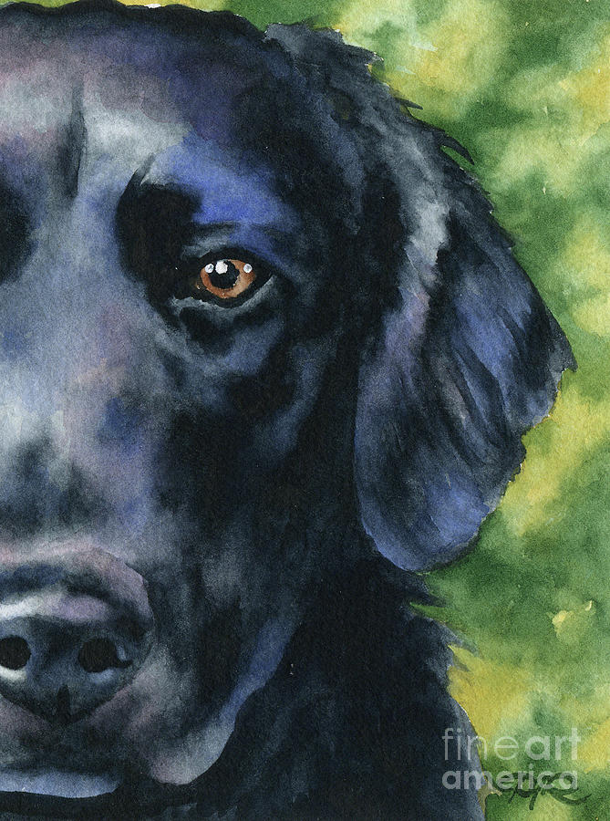 Dog Painting - Flat Coated Retriever by David Rogers