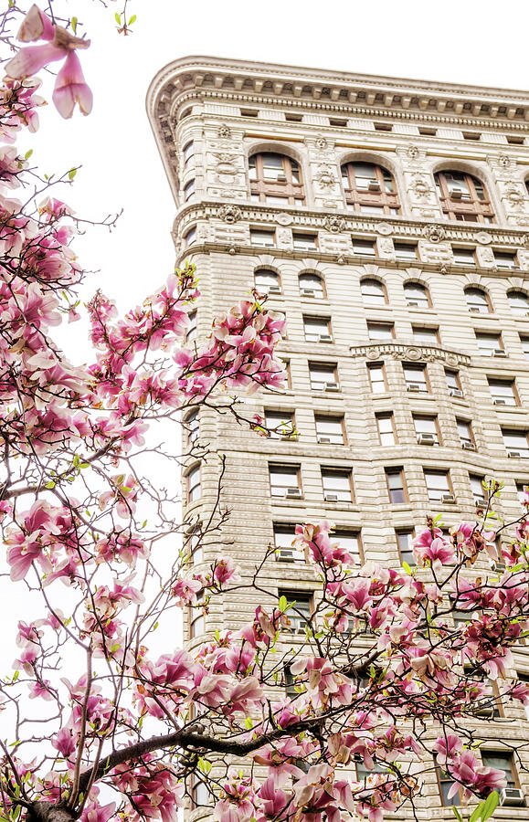 Flatiron Building in Spring Photograph by June Marie Sobrito