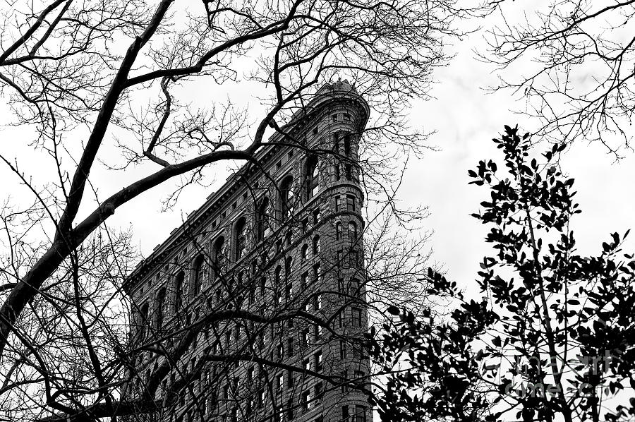 Flatiron Profile in New York City Photograph by John Rizzuto