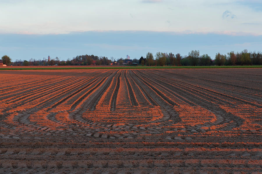 Flatland Photograph by Durk Talsma Pixels