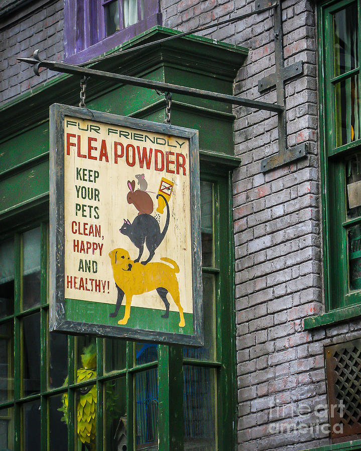 Sign Photograph - Flea Powder by Perry Webster
