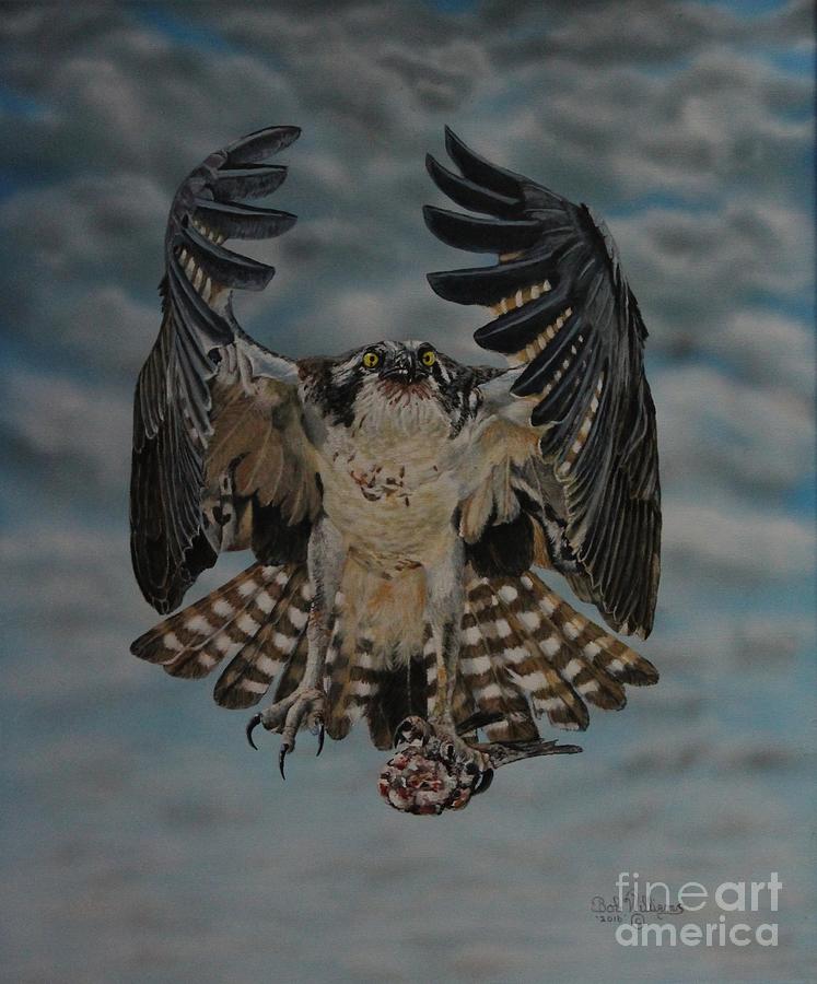 Fleck the Osprey  Painting by Bob Williams