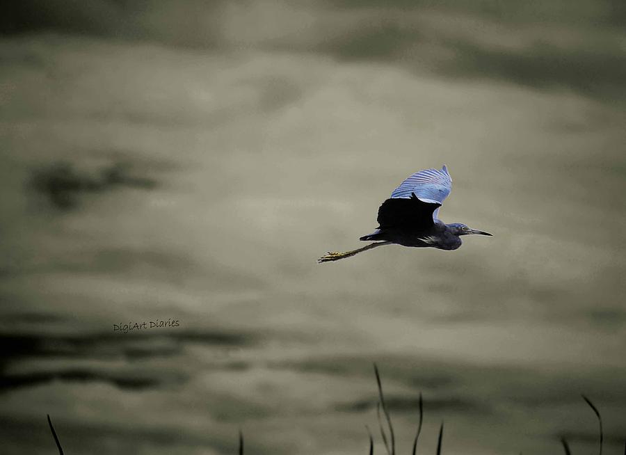 Fleeing the Storm Photograph by DigiArt Diaries by Vicky B Fuller