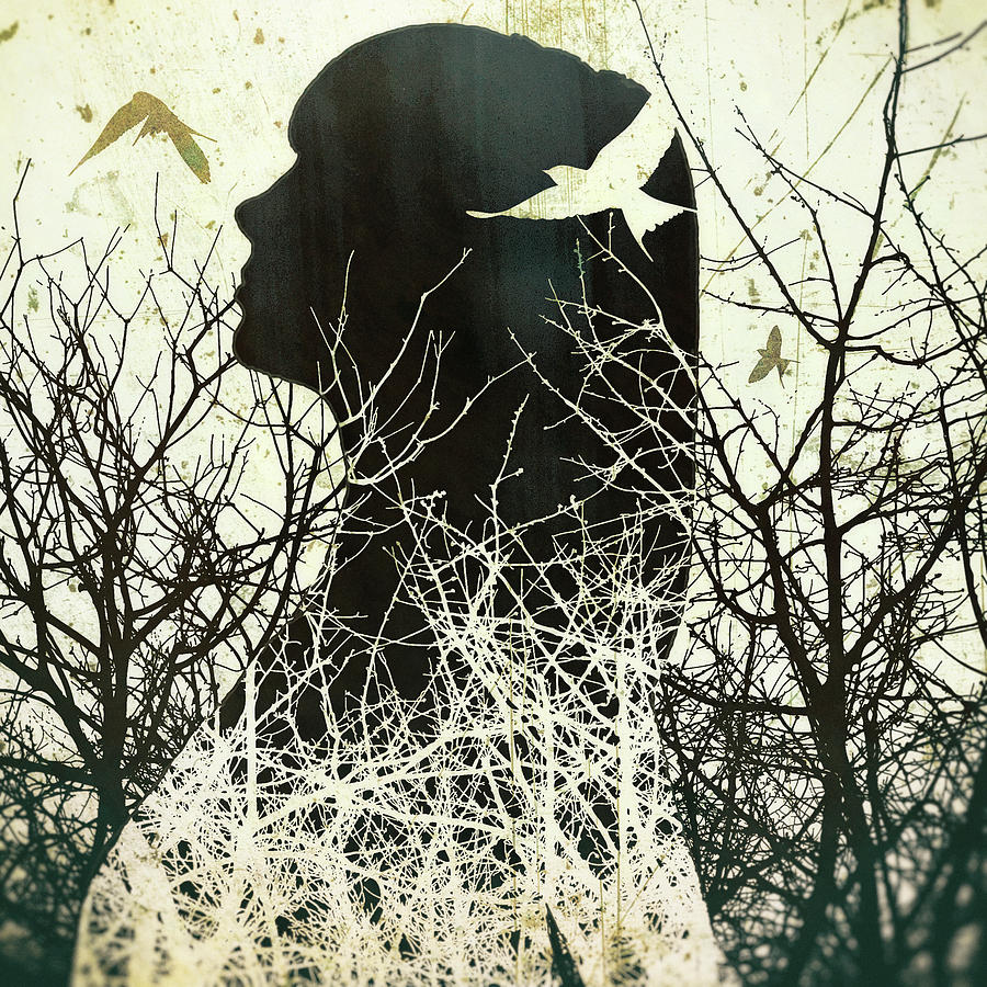 Fleeting Freedom Digital Art by Katherine Smit Fleeting Freedom Digital Art by Katherine Smit