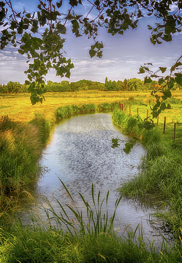 Flemish Creek Photograph by Wim Lanclus