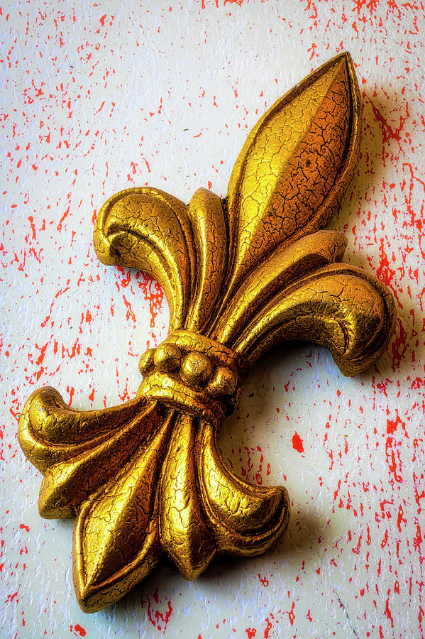 Fleur De Lis Photograph by Garry Gay