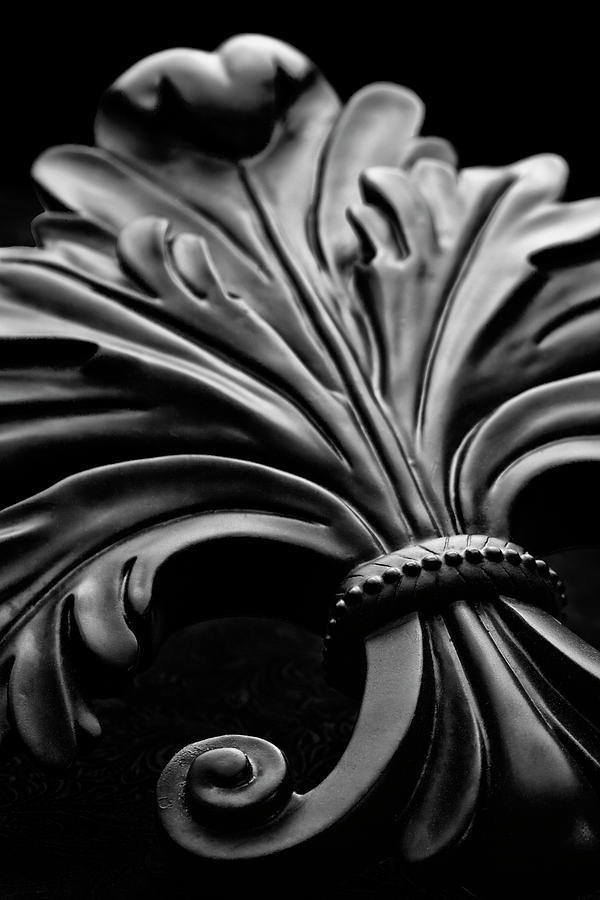Fleur de Lis II Photograph by Tom Mc Nemar