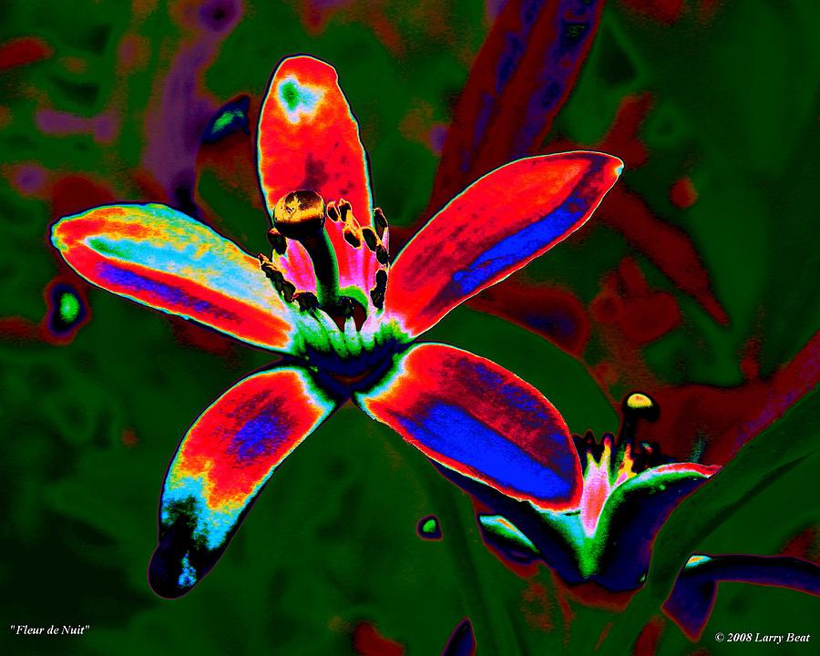 Fleur de Nuit Digital Art by Larry Beat