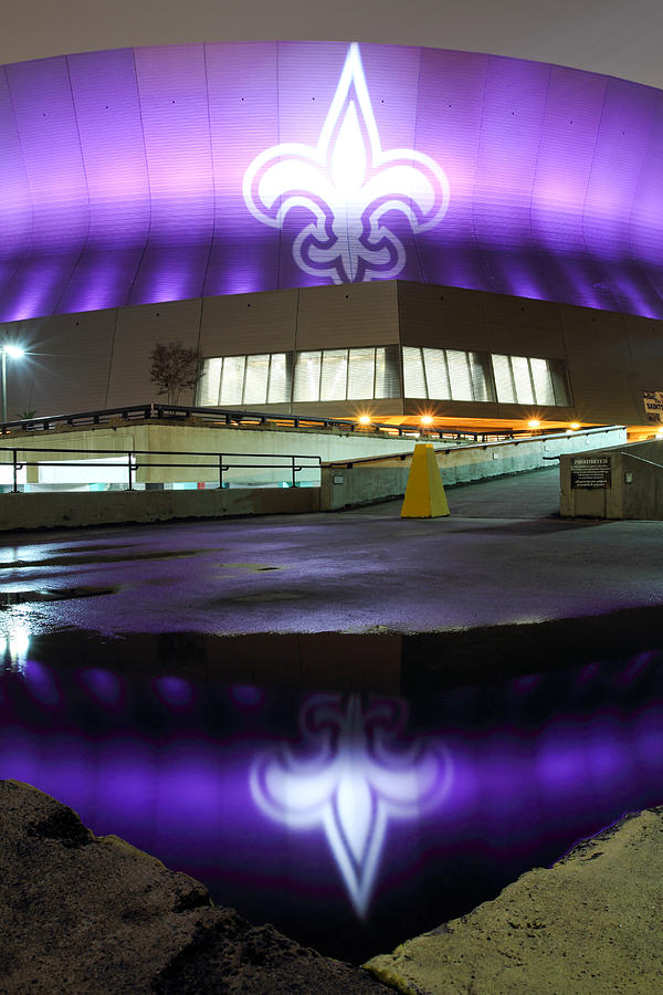 Drew Brees Photograph - Fleur di Lis Reflected by Pixel Perfect by Michael Moore