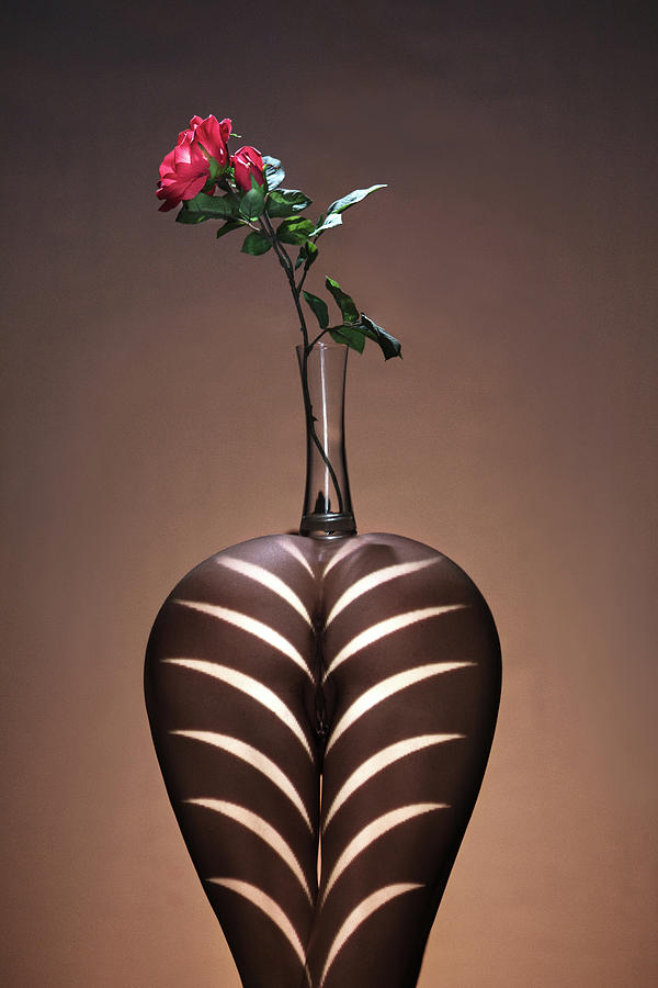 Fleur Sur Le Vasse Photograph by Dario Impini