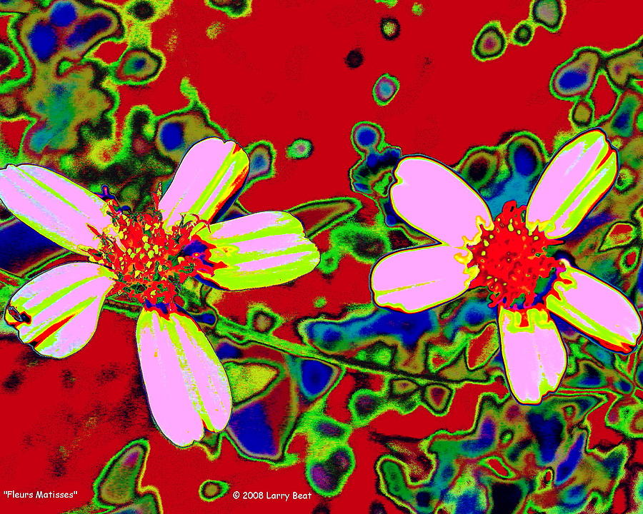 Fleurs Matisses Digital Art by Larry Beat