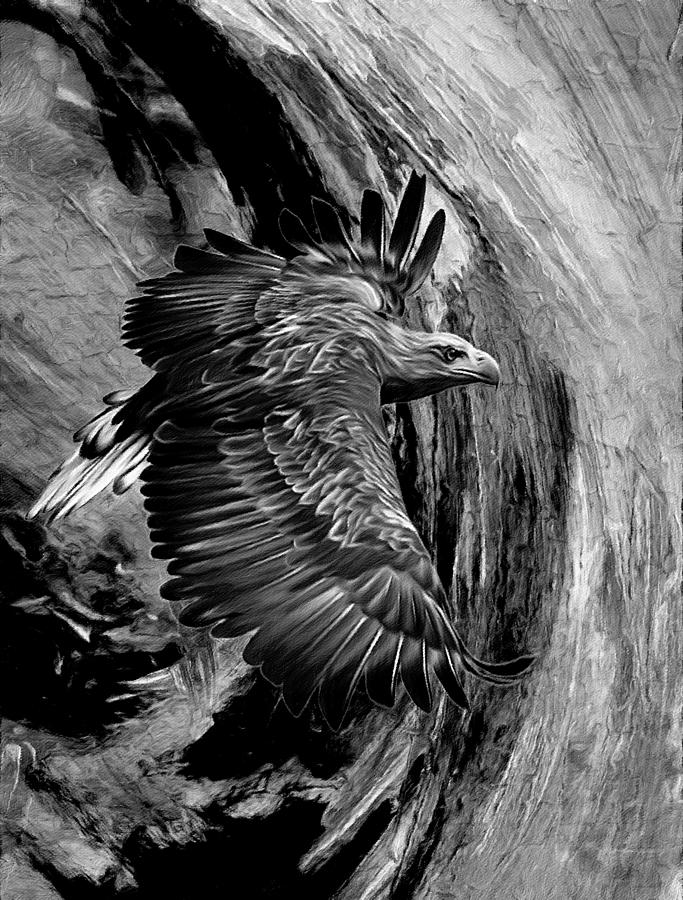 Eagle Mixed Media - Flight For Freedom Black And White by Georgiana Romanovna