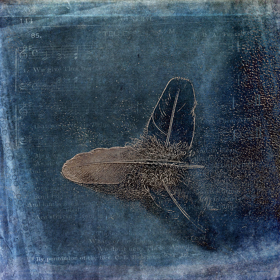 Flight of a Feather Photograph by Randi Grace Nilsberg