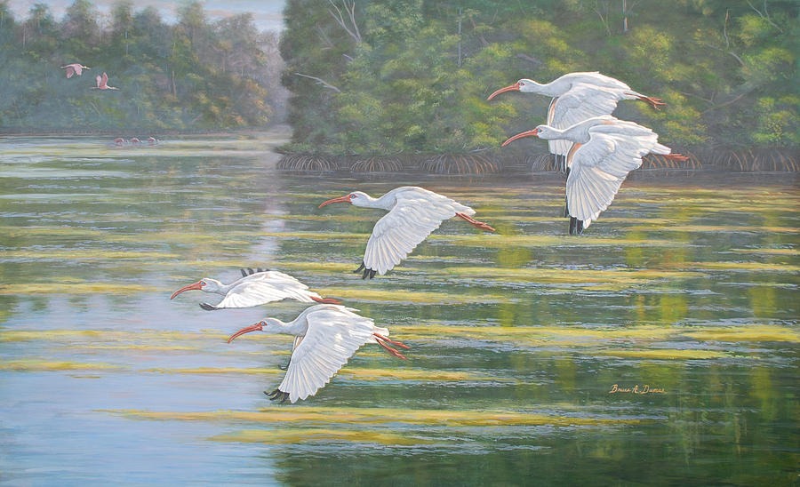 Wildlife Painting - Flight of the Ibis by Bruce Dumas