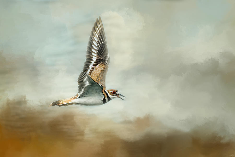 Bird Photograph - Flight Of The Killdeer by Jai Johnson