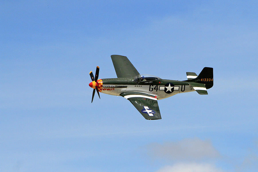 Flight of the Mustang Photograph by Shoal Hollingsworth