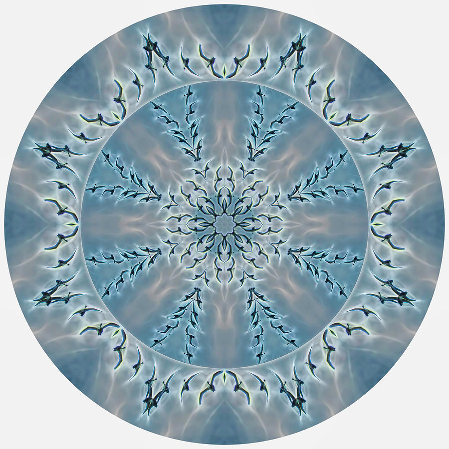 Flight of the Tundra Swan Mandala Digital Art by Beth Sawickie